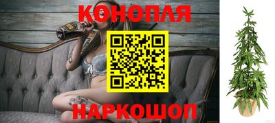 амф Рыбинск