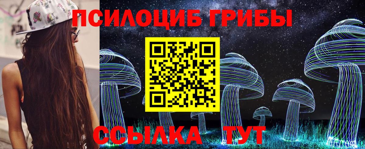 Нововоронеж  Псилоцибиновые грибы GOLDEN TEACHER  Вход с VPN 