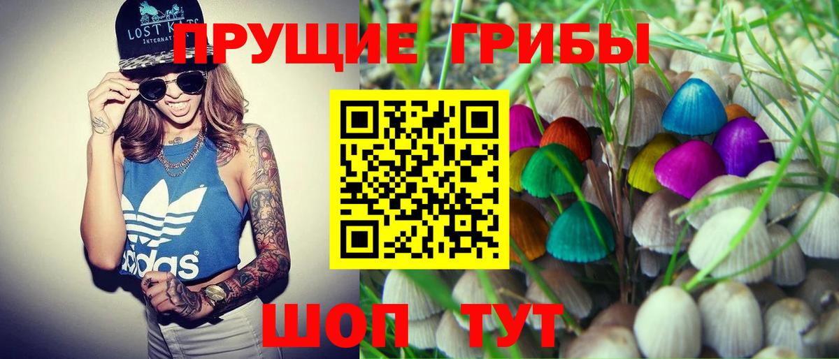 Псилоцибиновые грибы Psilocybine cubensis Нововоронеж